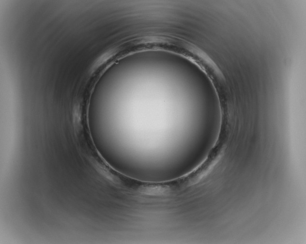 X0000113560826200909251056