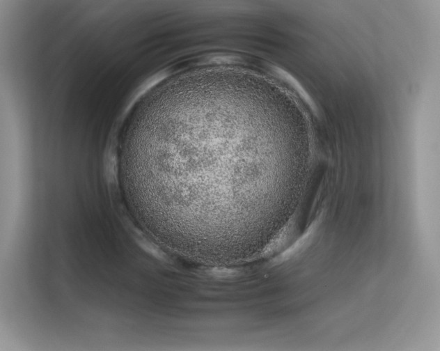 X0000113560827200909251056
