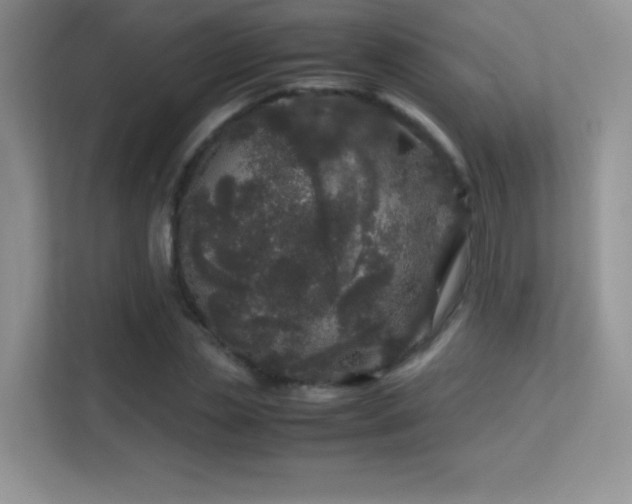 X0000113560829200909251056