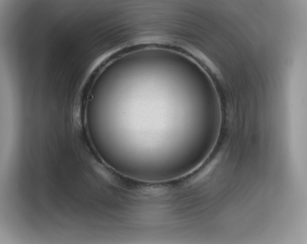 X0000113560830200909251056