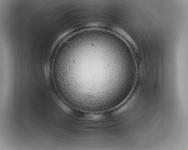 X0000113560831200909251056