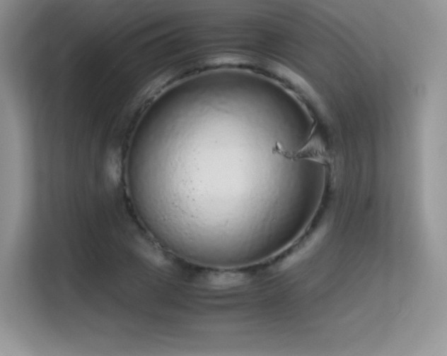 X0000113560833200909251056