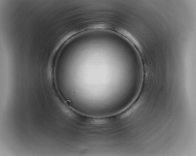 X0000113560835200909251056