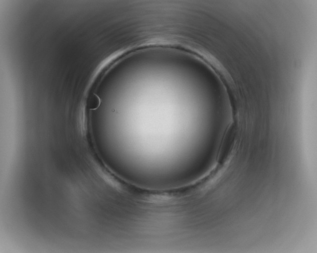X0000113560838200909251056