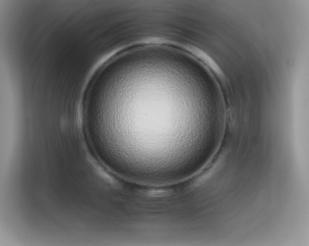X0000113560839200909251057