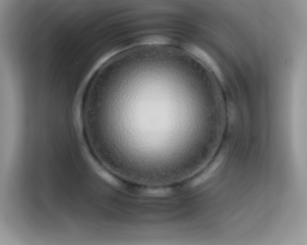 X0000113560843200909251057
