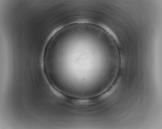 X0000113560845200909251057