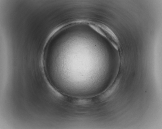 X0000113560847200909251057