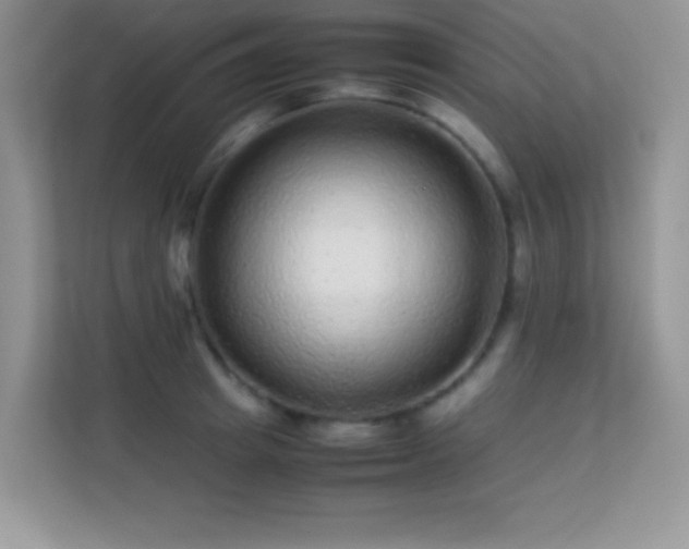 X0000113560849200909251057