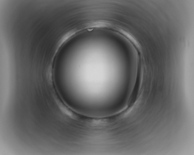 X0000113560850200909251057