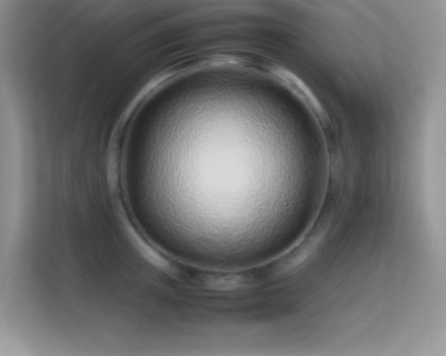 X0000113560851200909251057