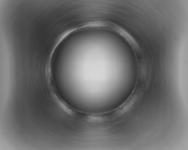 X0000113560852200909251057