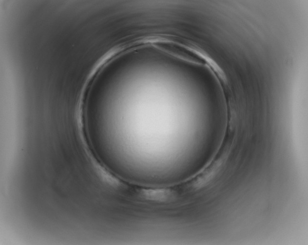 X0000113560853200909251057