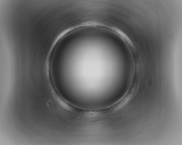 X0000113560854200909251057