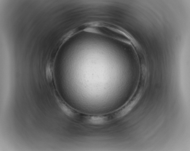 X0000113560857200909251057