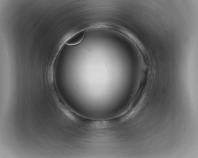 X0000113560858200909251057