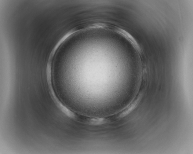 X0000113560859200909251057
