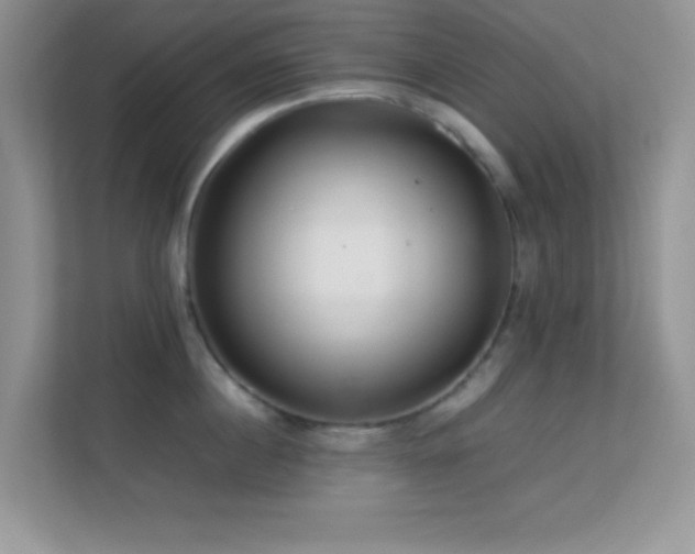 X0000113560860200909251057