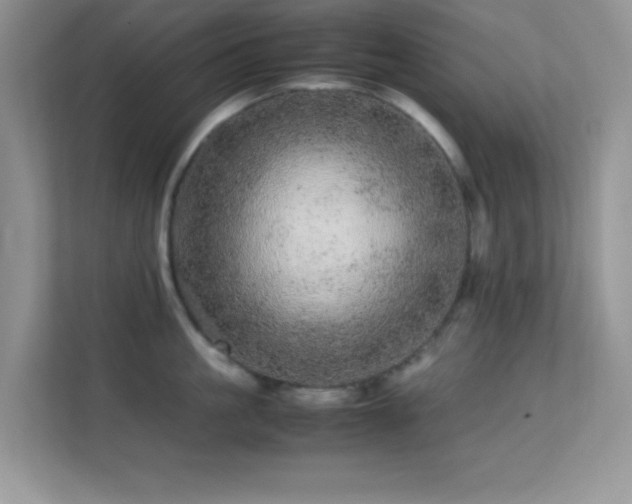 X0000113560861200909251057