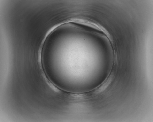 X0000113560862200909251057