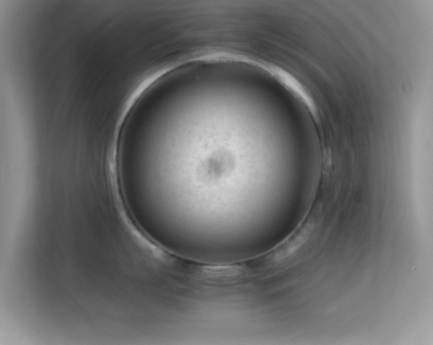 X0000113560863200909251057
