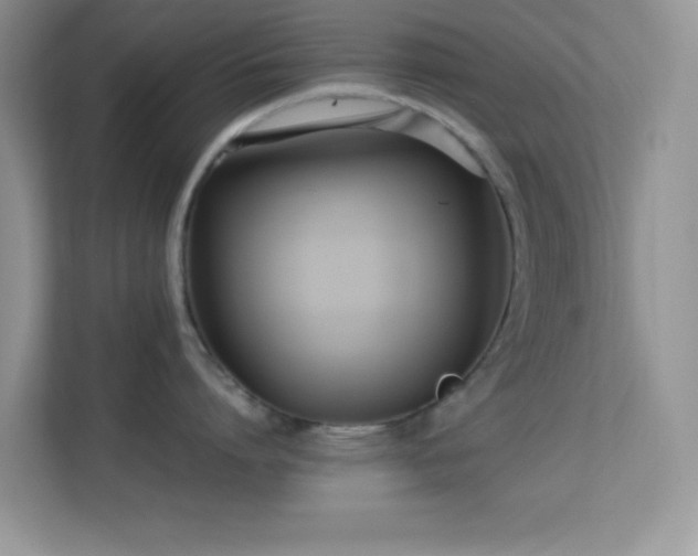 X0000113560864200909251057