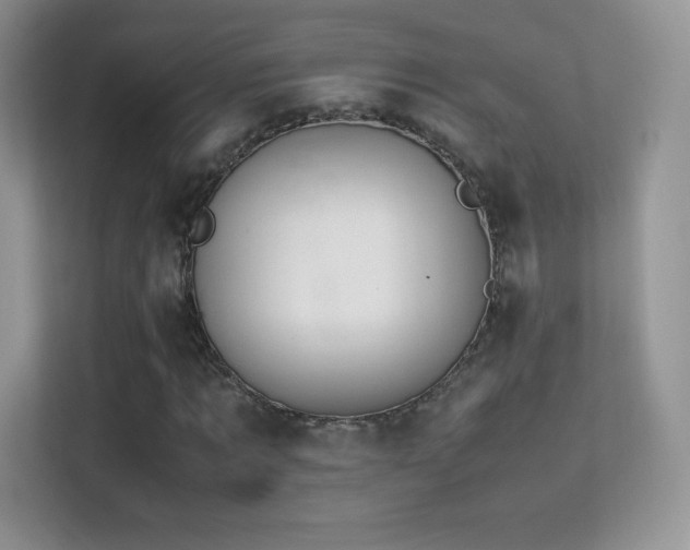 X0000113560869200909251056