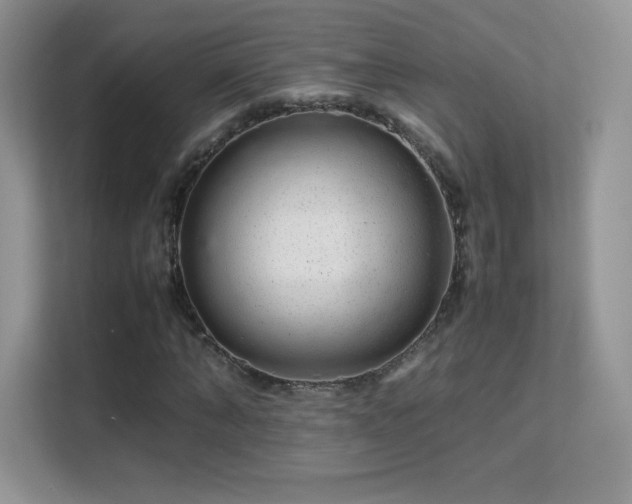 X0000113560870200909251056
