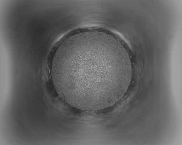 X0000113560871200909251056