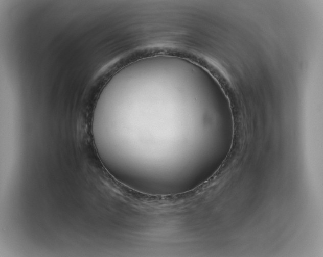 X0000113560872200909251056
