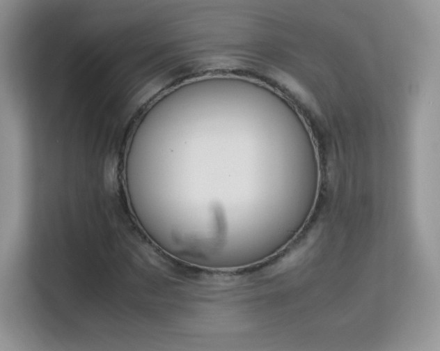 X0000113560873200909251056
