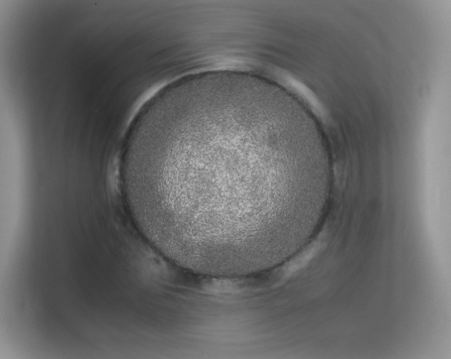 X0000113560875200909251056