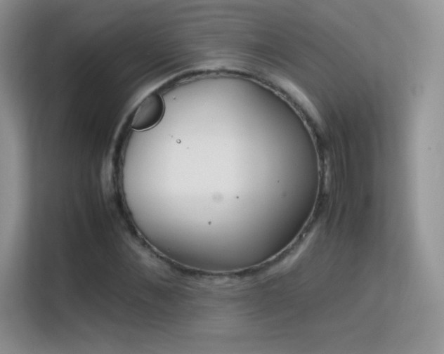 X0000113560876200909251056