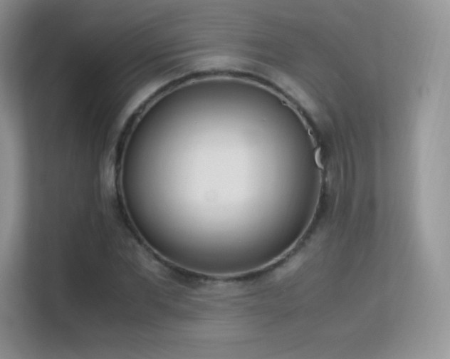 X0000113560877200909251056