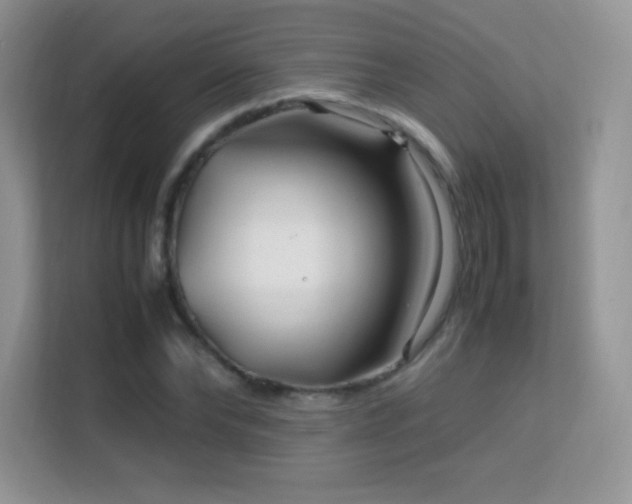 X0000113560878200909251056