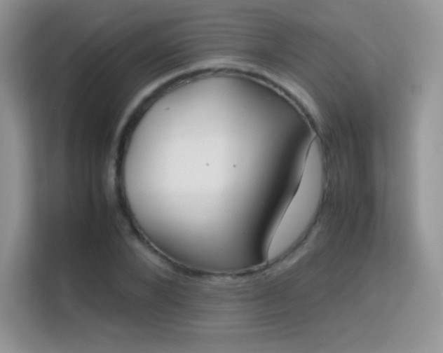 X0000113560880200909251056