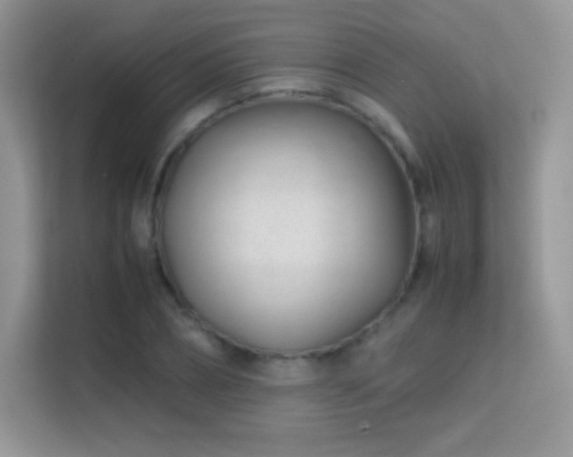 X0000113560882200909251056