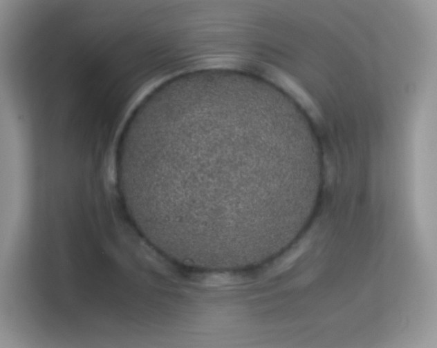 X0000113560883200909251056