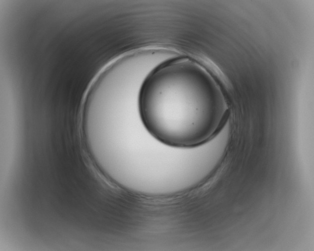 X0000113560884200909251056