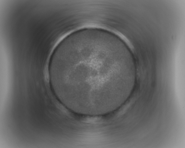 X0000113560887200909251056