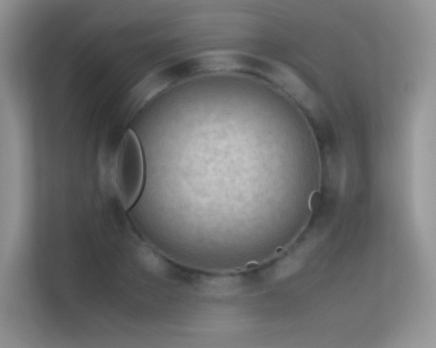 X0000113560889200909251056