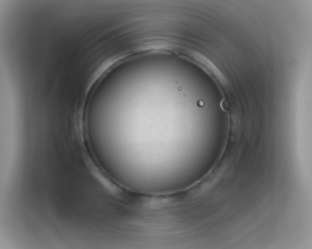 X0000113560890200909251056