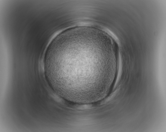 X0000113560891200909251056
