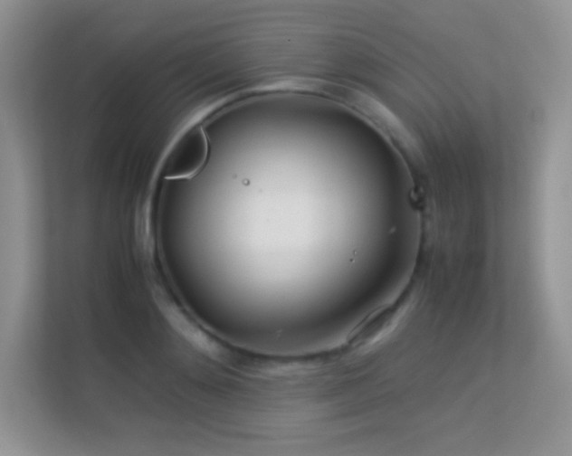 X0000113560892200909251056