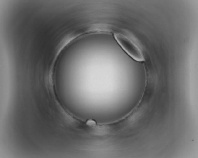 X0000113560893200909251056