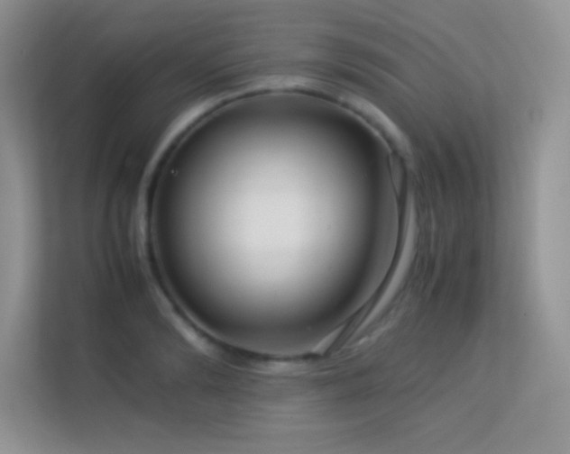 X0000113560894200909251056