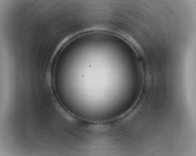 X0000113560896200909251056