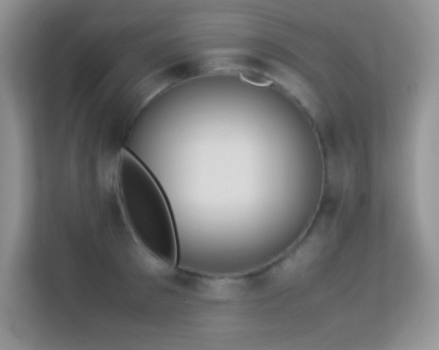 X0000113560897200909251056