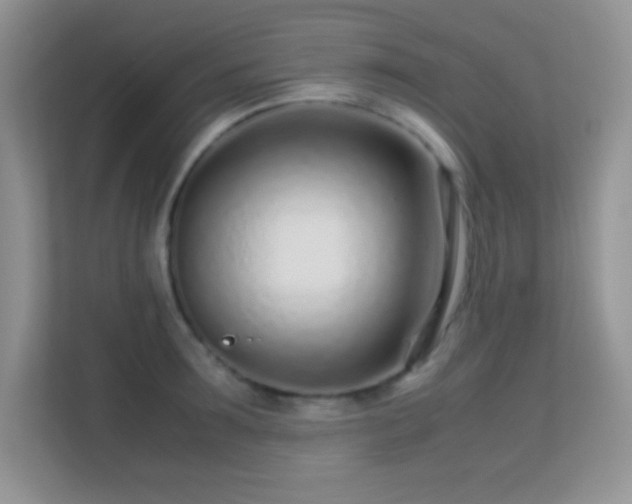 X0000113560899200909251056