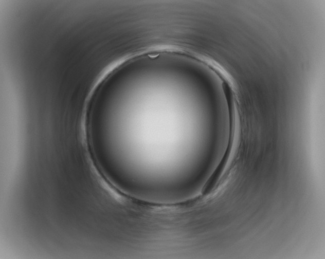 X0000113560902200909251056